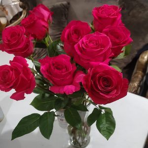 Meet your Posher, Faby